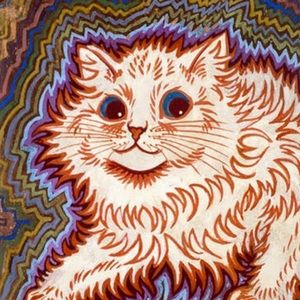 Meet your Posher, Seb